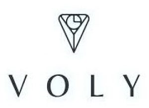 Voly logo